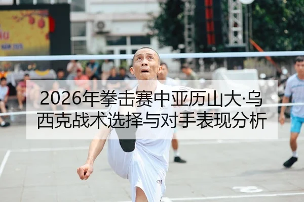 2026年拳击赛中亚历山大·乌西克战术选择与对手表现分析